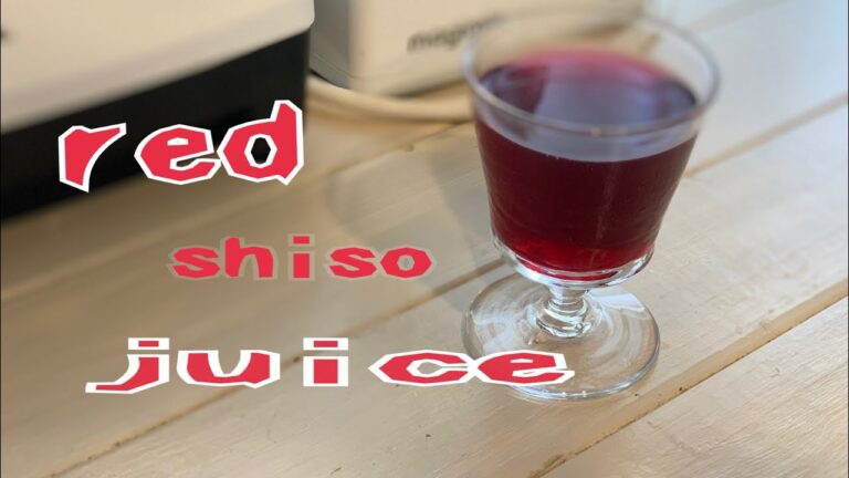 自然栽培の赤紫蘇で 紫蘇ジュースをつくります。