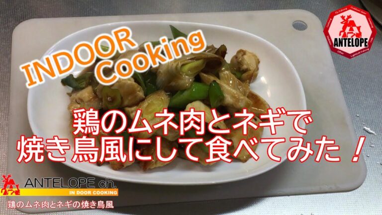 【IN DOOR COOKING】鶏のムネ肉とネギで焼き鳥風にして食べてみた！