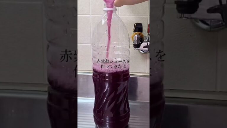 【Muji shorts】赤紫蘇ジュース #shorts