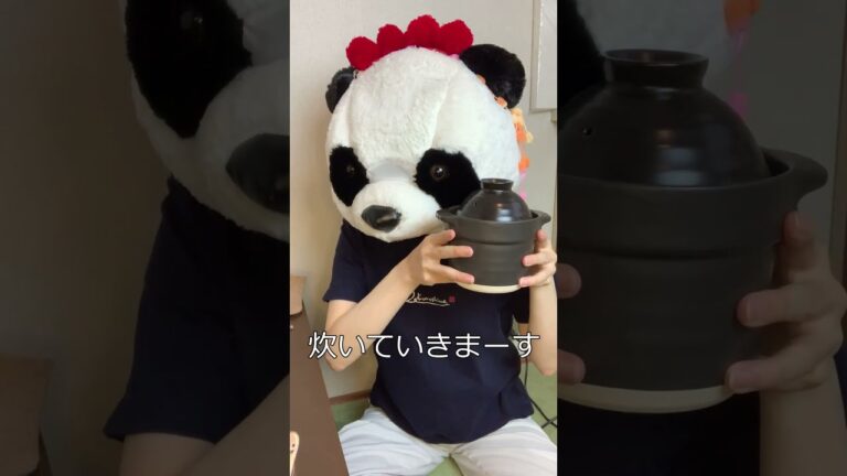 鯖の水煮缶炊き込みご飯