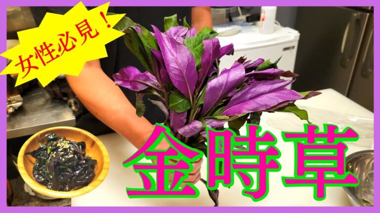 女性必見！栄養豊富な「金時草」の簡単レシピを焼肉屋がご紹介！