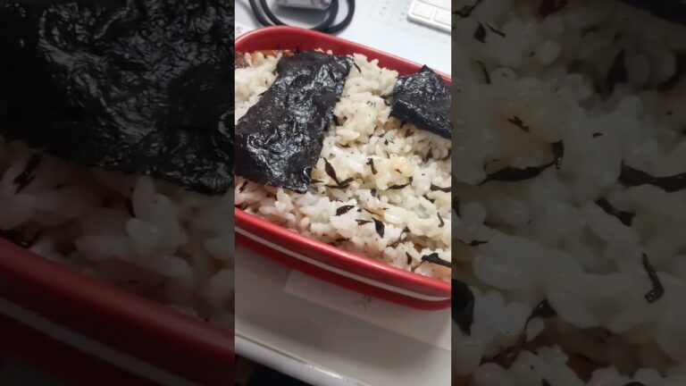 ひじきごはん！だけの昼ごはん#shorts #弁当 #昼飯 #ひるごはん #ごはん #ひじき
