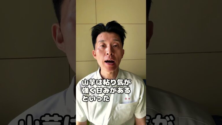 【秋が旬】長芋・山芋の効能について