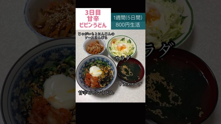 甘辛ビビンうどん#節約#料理#ごはん#1人暮らし#自炊#食事#節約生活#レシピ#献立#簡単#1週間#副菜 #作り置き #電子レンジ#shorts