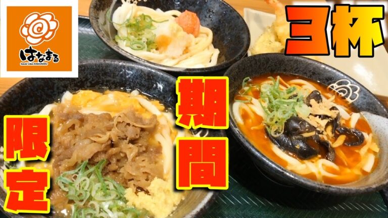 『はなまるうどん』の期間限定を3杯食べまくり！！