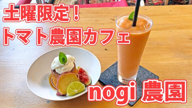 【nogi農園】三保のトマト農園カフェで旬のスイーツ！