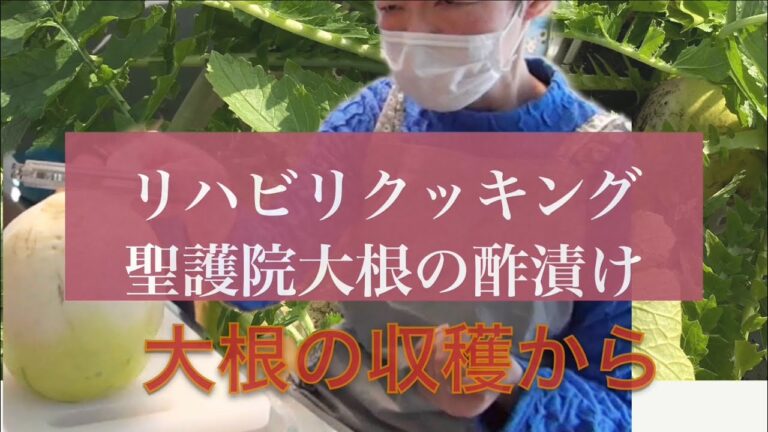 【ASMRもどき】リハビリ、クッキング・聖護院大根の酢漬け