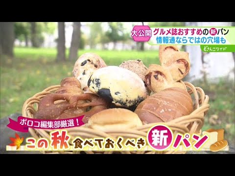 poroco厳選！秋の新店＆新作パン【どさんこワイド179】2024.10.02放送