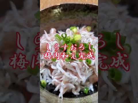 【ちょこっとおつまみ】#71 しらすでちょこっと❇ しらすおろし梅肉和え✴ ご飯にも合います❇