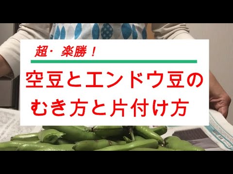 かんたん Cooking ㉙　超・楽勝　空豆とエンドウ豆のむき方と片付け方