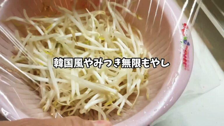 韓国風やみつき無限もやし 節約レシピ