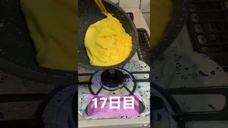 100日後に完璧なふわふわオムライスを作るお兄さん【17日目】 #omelet #shorts