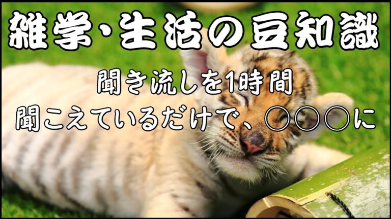 【聞き流し 雑学】料理・食べ物。少しゆっくりに読んでいきますね。【睡眠用】【豆知識 雑学】【作業用bgm】004