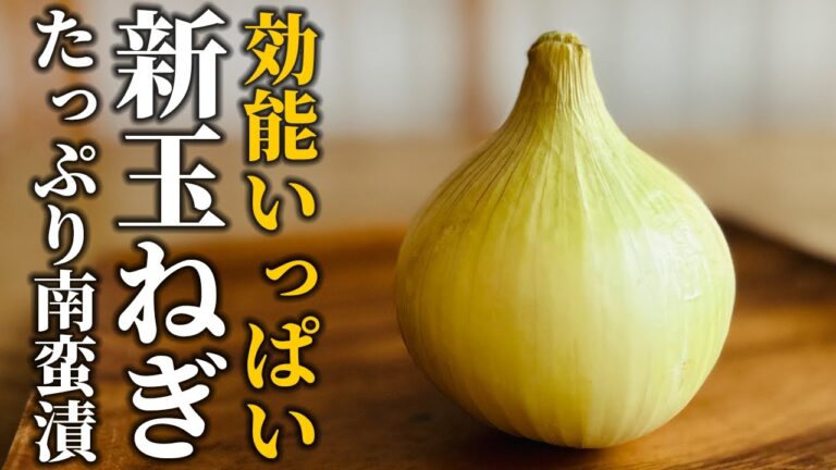 【新玉ねぎレシピ】和食屋さんが教える！効能いっぱい!!旬の野菜を活かす基本の和食【プロレシピ】