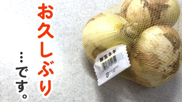 【簡単サラダ】新玉ねぎなら辛くない♪家にあるものでチャッチャと作る我が家の季節もんレシピ