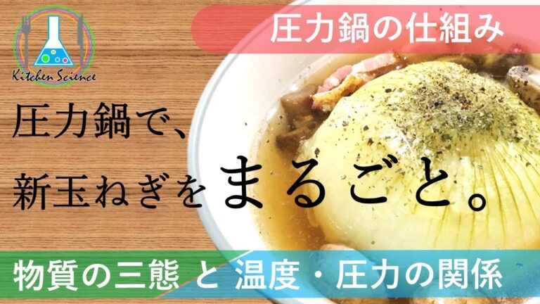 【時短・簡単】圧力鍋でまるごとオニオンスープ~物質の三態と温度・圧力の関係~【圧力鍋の仕組み】
