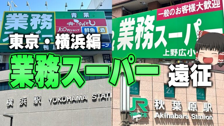 【30歳独身男性】孤独な業務スーパー遠征（横浜・東京編）【ゆっくり】