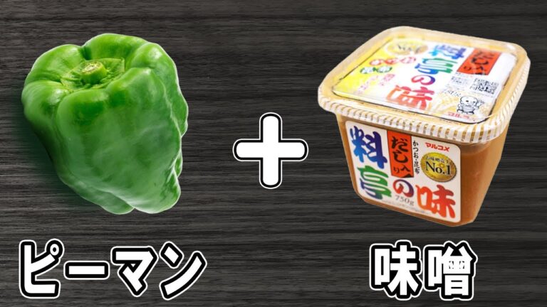 【お弁当おかず】ピーマンの味噌炒めの簡単レシピ！冷めても美味しいおかずの作り方！冷蔵庫にあるもので簡単おいしい節約料理/旦那弁当/毎日弁当/ピーマンレシピ/作り置きレシピ/bento