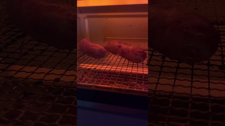 ジョンソンヴィルをオーブントースターで焼いてみただけの動画