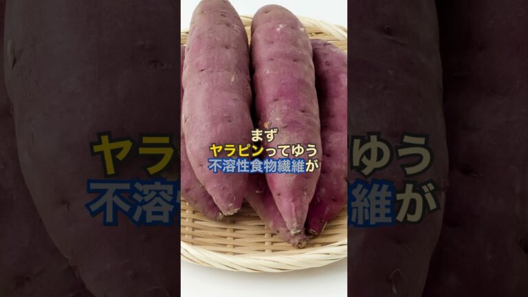 【便秘改善】今日はサツマイモについて話していくで