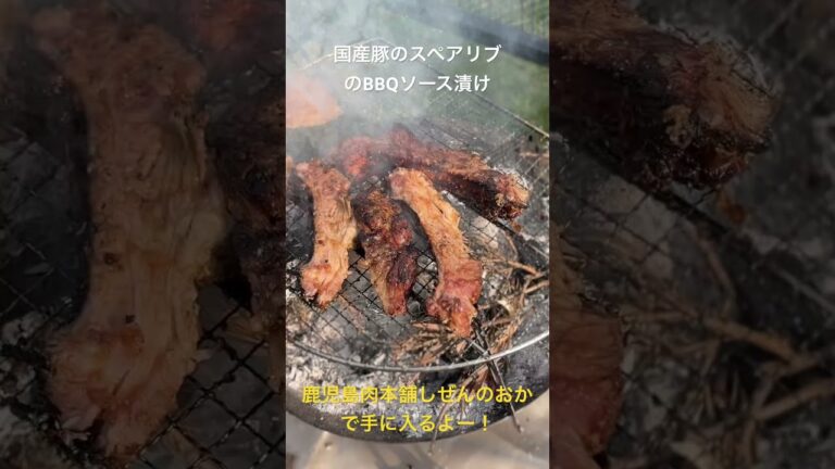 キャンプで映える国産スペアリブのBBQソース焼き#Shorts
