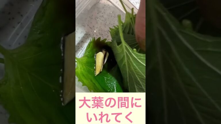 ご飯に合う夏バテ簡単レシピ！大葉のニンニク醤油漬け！　#簡単 #レシピ #ダイエット　#夏バテ