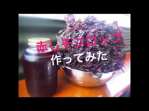 自家製赤しそシロップ作ってみた