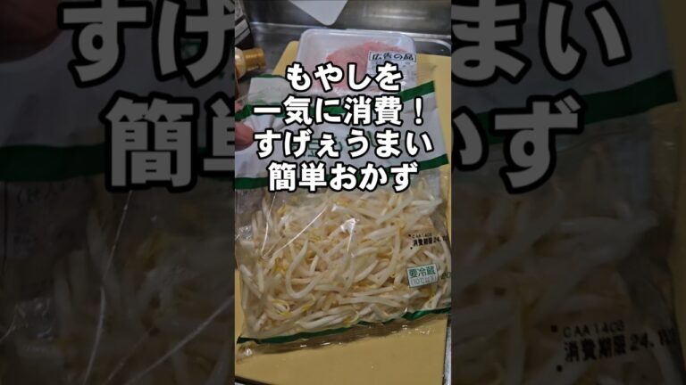 すげぇ！もやし2袋がペロリと消える！やみつき簡単節約おかずレシピ (ひき肉、主菜、丼)