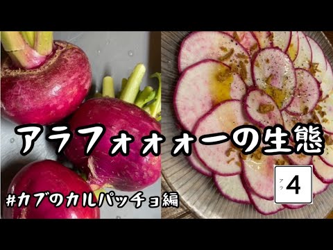 『#8』映えるカブのカルパッチョ作ったvlog【現役サロンオーナーの裏側】/アラフォー女の日常