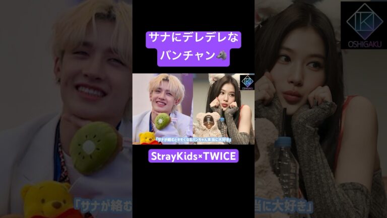 スキズのパパもサナの前では、、🐺 #straykids #twice #サナ #バンチャン 💟続きは▶︎から💟