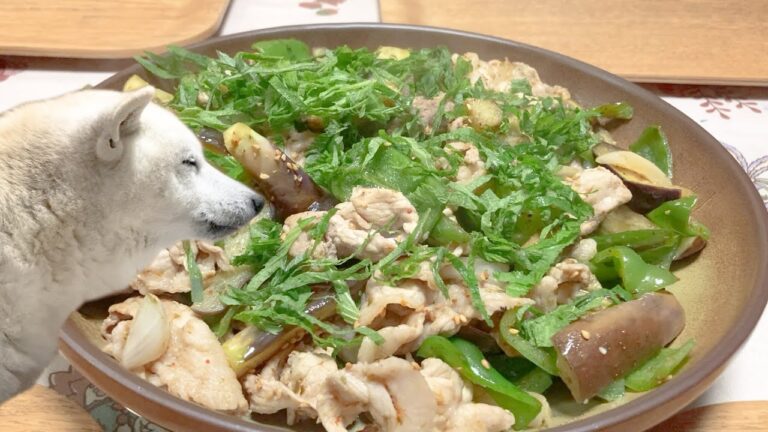 茄子と豚肉の味噌辛炒め＆もっちゃり柴犬