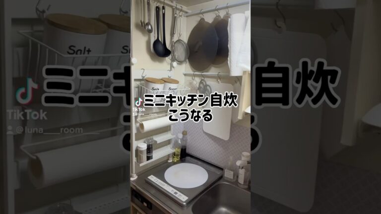 豚とナスと玉ねぎを炒めたよ　#一人暮らし #ミニキッチン #自炊