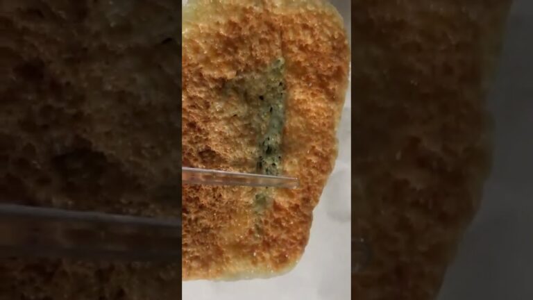 #Shorts　レンジde簡単おつまみ　大葉チーズカリカリ