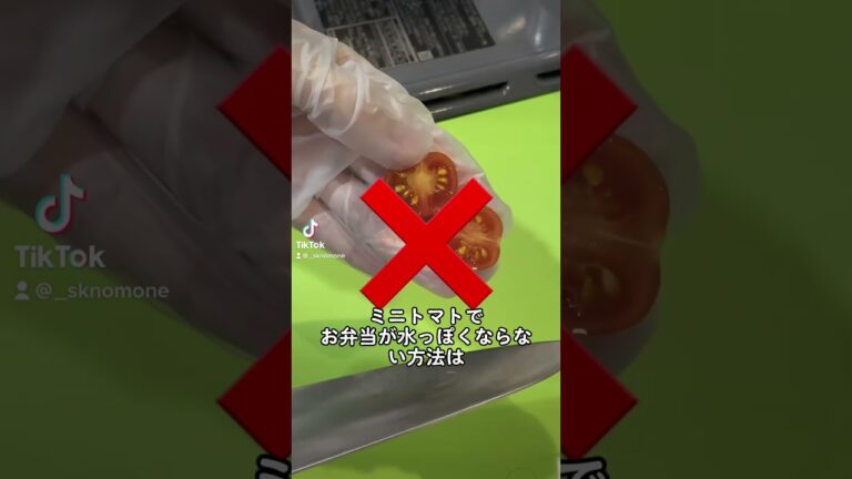 お弁当に入れるトマトの切り方｜How to cut tomatoes #ショート #shorts #ライフハック #lifehacks #お弁当作り
