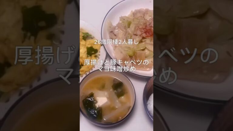 厚揚げと豚キャベツの味噌マヨ炒めとニラ玉作るよ🍚26歳同棲2人暮らし #同棲 #作り置き #cooking #晩ごはん作り #晩ごはん #献立 #豚肉