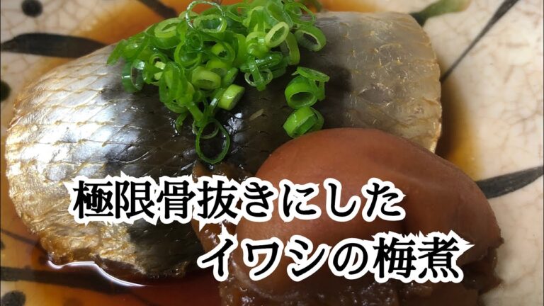【寿司屋の仕事】鰯の卸し方/骨抜き/梅煮を作るまで