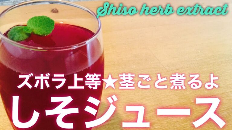 【しそ大量消費】茎ごと煮る | ズボラしそジュース | ヘルシー【簡単シロップ】