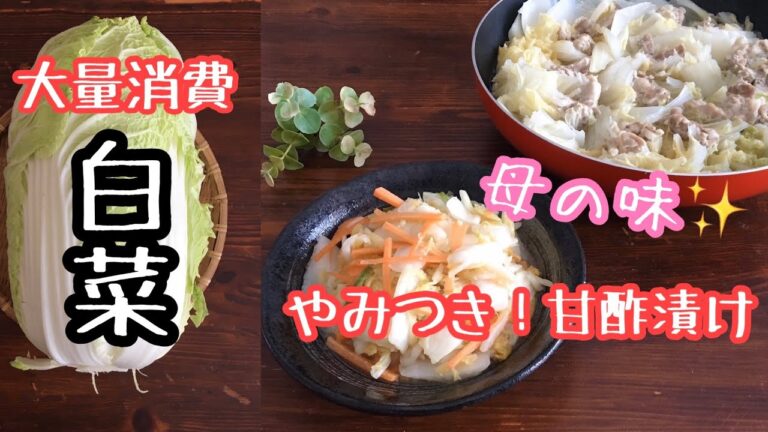 【白菜】大量消費！甘酢漬け、豚肉ミルフィーユ