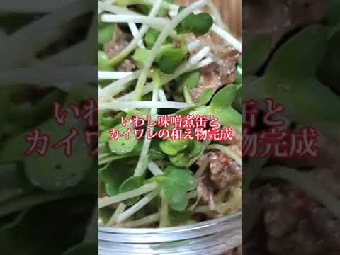 【ちょこっとおつまみ】#205 カイワレといわし味噌煮缶でちょこっと❇️ いわし味噌煮缶とカイワレの和え物✴️無限に食べれる❇️