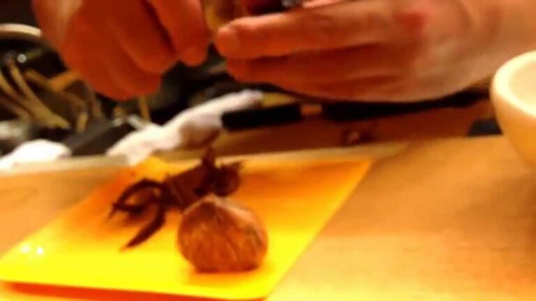 秋の味覚栗ご飯の作り。くりの皮の向き方。安全、簡単に。 神戸割烹料理直伝