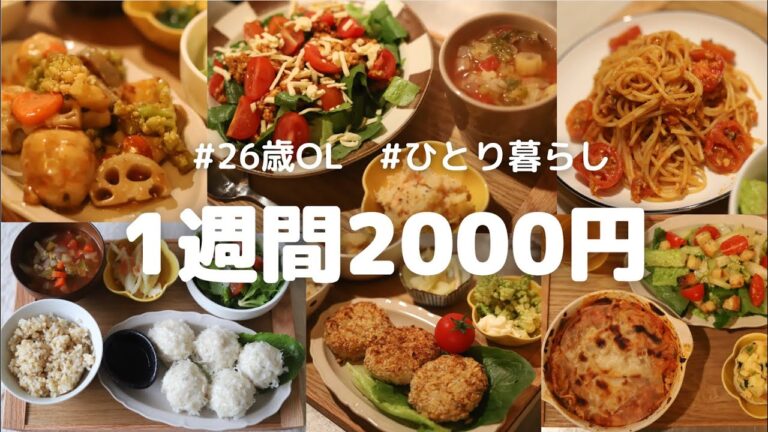 26歳が2000円で作る1週間の夜ごはん 【ひき肉の回】