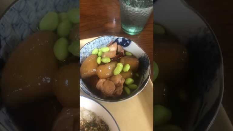 鶏肉の煮物🍽厚揚げ奴