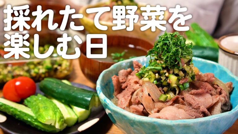 家庭菜園で収穫した野菜で作る30代夫婦のリアルな晩ごはん｜自炊記録【きゅうりと茄子のだし豚丼】