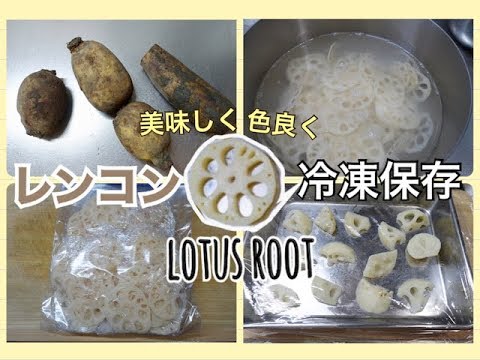 【冷凍保存方法】レンコンを酢水でアク抜きをして下ごしらえしてから冷凍保存