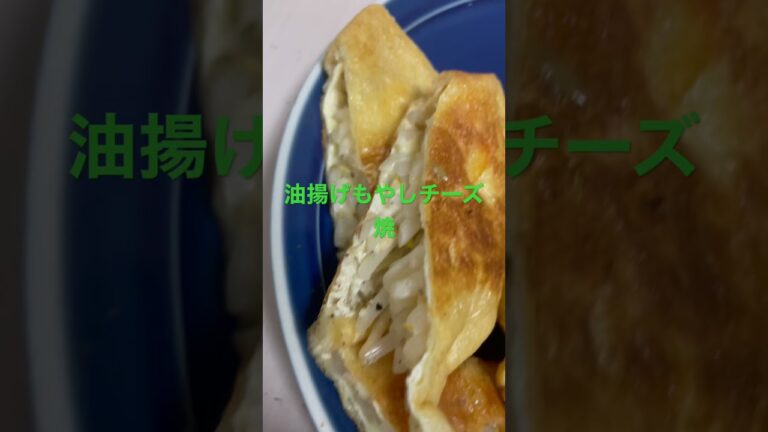 #豚肉 #ネギ焼き #油揚げ #もやしレシピ #チーズ#白菜 #自炊#japan #japanesefood #cocking