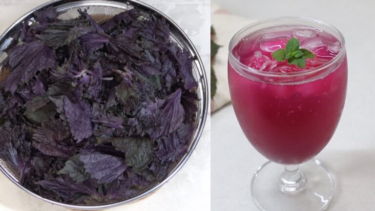 [超簡単!] 赤紫蘇ジュース🍷はちみつ赤紫蘇シロップのレシピ