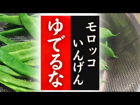【モロッコいんげん】の美味しい食べ方！驚くほど美味しくなる！レシピ3選