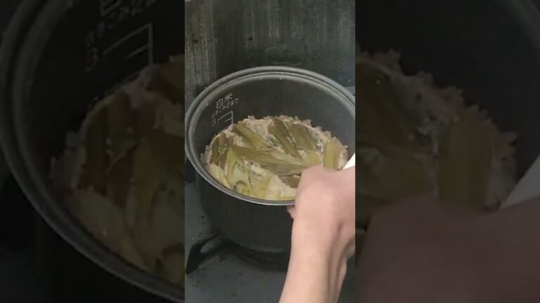 鶏ミンチとネギで炊き込みご飯を作る。#shorts