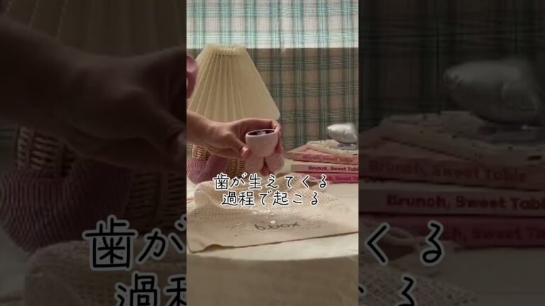 この歯固めやばいです！