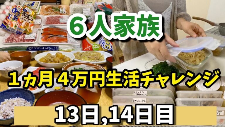 ❻【６人家族４万円生活チャレンジ】#主婦#余り物#献立#Japanese home cooking